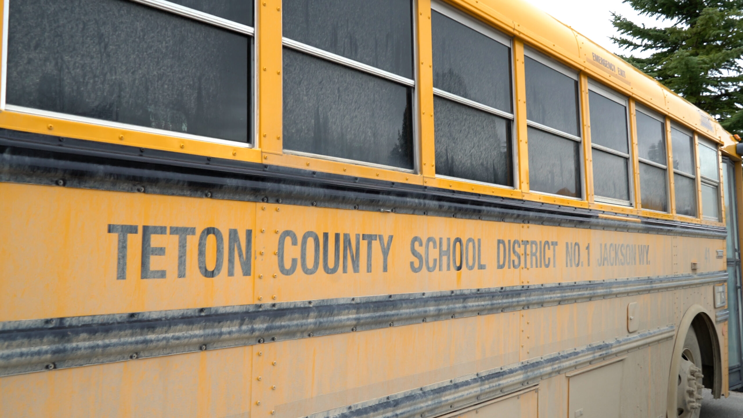 Teton County Bus