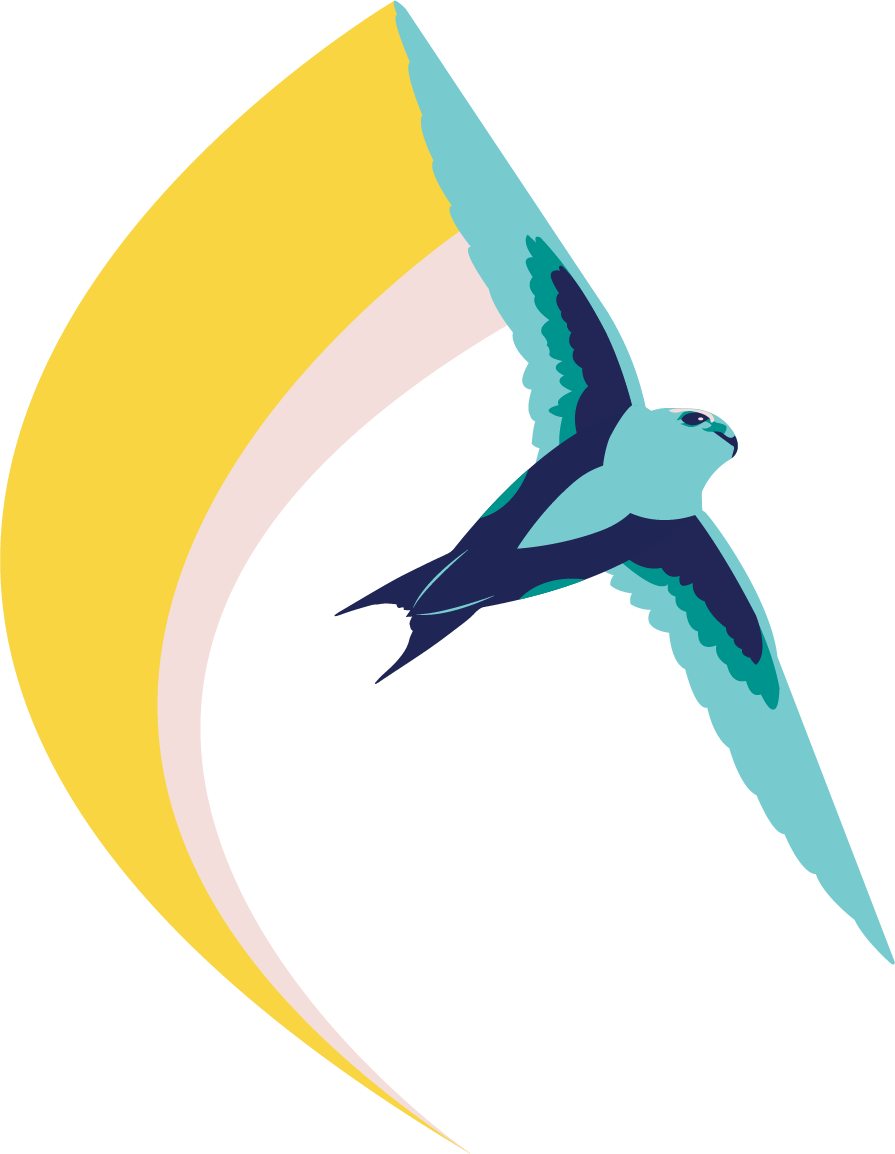 SWIFT bird in flight