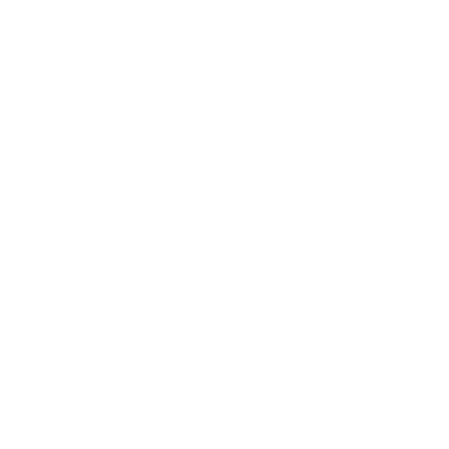 Swift Air Logo PNG vector in SVG, PDF, AI, CDR format